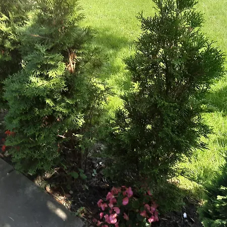 Gaestehaus Im Gruenen *