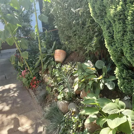 Gaestehaus Im Gruenen Holiday home