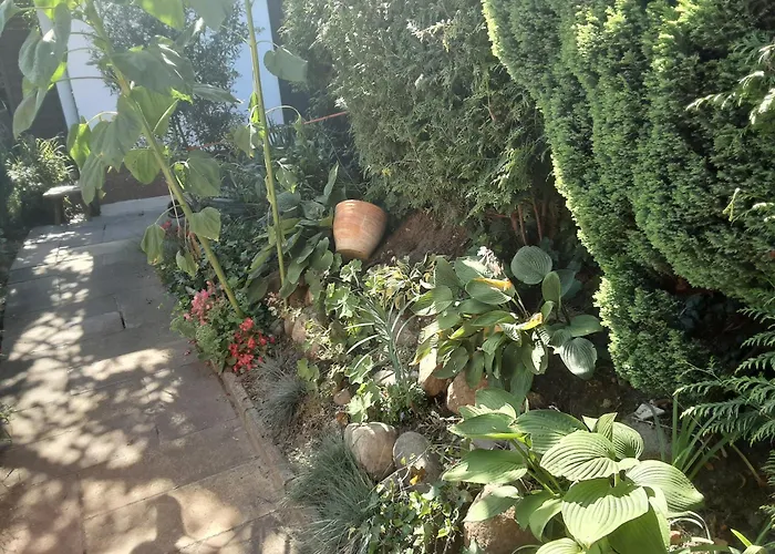 Im Grünen Сasa de vacaciones